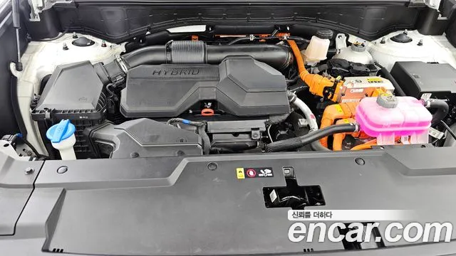 2025 Hyundai Santa Fe (MX5) HEV 1.6 2WD VIN KMHP5811BSU091834