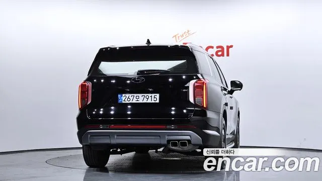 2023 Hyundai The New Palisade Diesel 2.2 2WD Sold VIN KMHR281ABPU519283 – trunk area