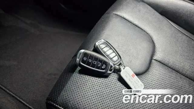 2020 Hyundai Santa Fe Tm Diesel 2.0 2wd Sold VIN KMHS281BBLU239036 – front exterior