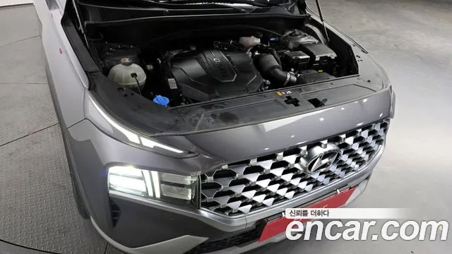 2021 Hyundai The New Santa Fe Diesel 2.2 2WD Sold VIN KMHS281HGMU313783 – photo 20