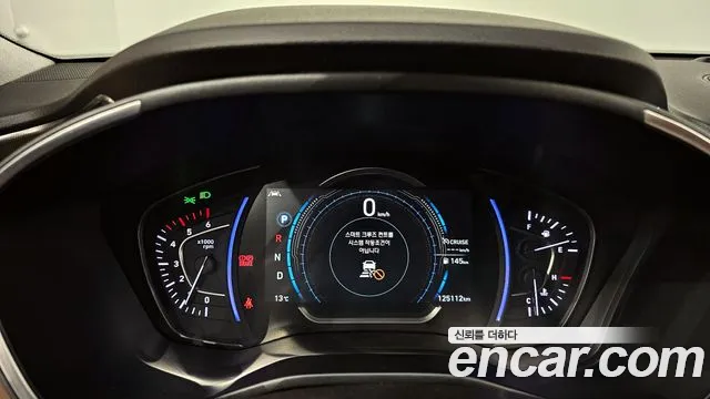 2019 Hyundai Santa Fe TM Diesel 2.2 4WD Sold VIN KMHS381CDKU012666 – exterior detail