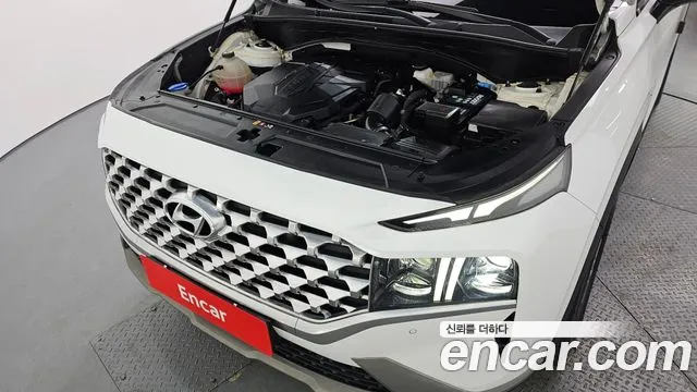 2021 Hyundai The New Santa Fe Diesel 2.2 2WD VIN KMHS381HGMU329143