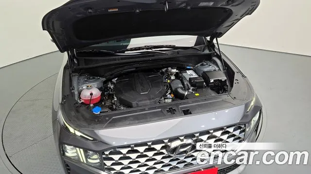 2022 Hyundai The New Santa Fe Diesel 2.2 2WD Sold VIN KMHS381HGNU448466 – photo 28