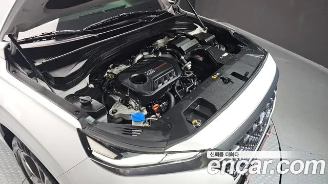 2020 Hyundai Santa Fe TM Gasoline 2.0T 2WD Sold VIN KMHS581ABLU207998 – exterior detail