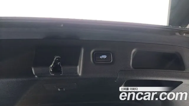 2020 Hyundai Santa Fe TM Gasoline 2.0T 4WD Sold VIN KMHS581ADLU193296 – exterior detail