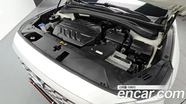 2019 Hyundai Santa Fe TM Diesel 2.0 2WD Sold VIN KMHS581BBKU080095 – exterior detail 2019 Hyundai Santa Fe TM Diesel 2.0 2WD Sold VIN KMHS581BBKU080095 – exterior detail