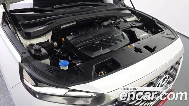 2019 Hyundai Santa Fe TM Diesel 2.0 2WD Sold VIN KMHS581BBKU133445 – exterior detail