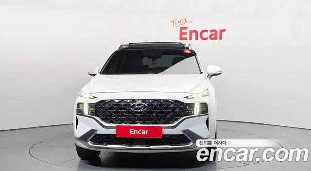 2021 Hyundai The New Santa Fe Diesel 2.2 2WD Sold VIN KMHS581HGMU332154 – photo 13