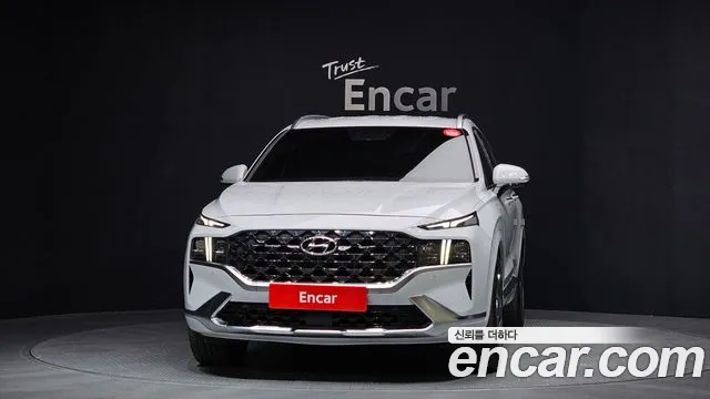 2021 Hyundai The New Santa Fe Diesel 2.2 2WD Sold VIN KMHS581HGMU366377 – photo 13