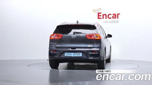 2019 Kia Niro EV Noblesse VIN KNACC81GFKA019128