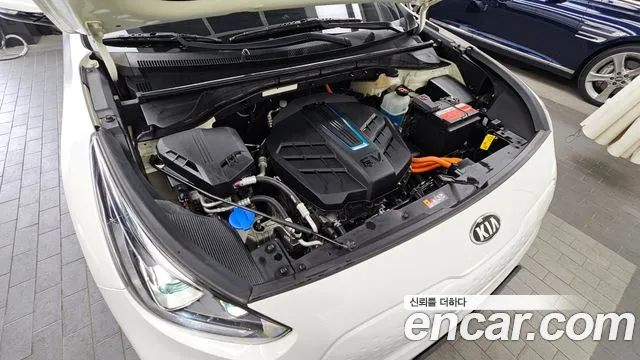 2019 Kia Niro EV Noblesse Sold VIN KNACC81GFKA022203 – odometer reading