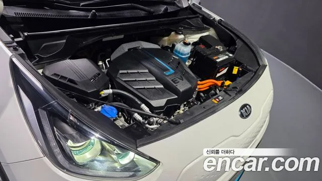 2021 Kia Niro EV Noblesse Sold VIN KNACC81GFMA096020 – photo 13