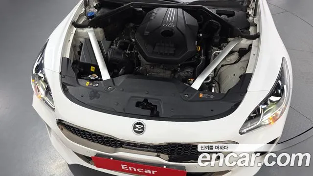 2020 Kia Stinger 2.0 Turbo AWD Sold VIN KNAE351ADLS072082 – photo 13