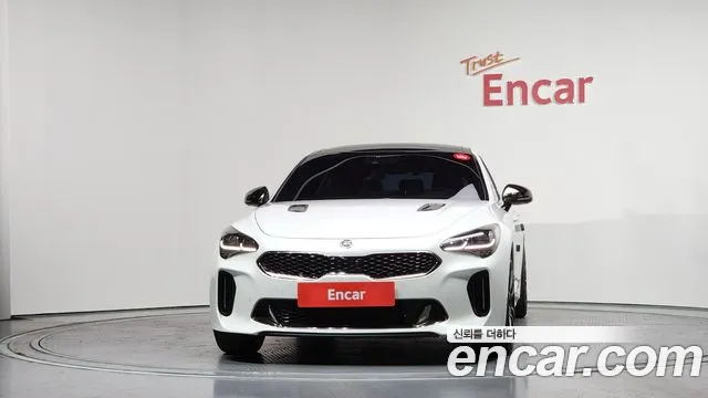 2020 Kia Stinger 2.0 Turbo AWD Sold VIN KNAE351ADLS082952 – photo 12