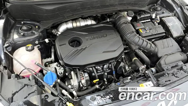 2023 Kia Seltos Gasoline 1.6 Turbo 2WD VIN KNAER812GPK348991