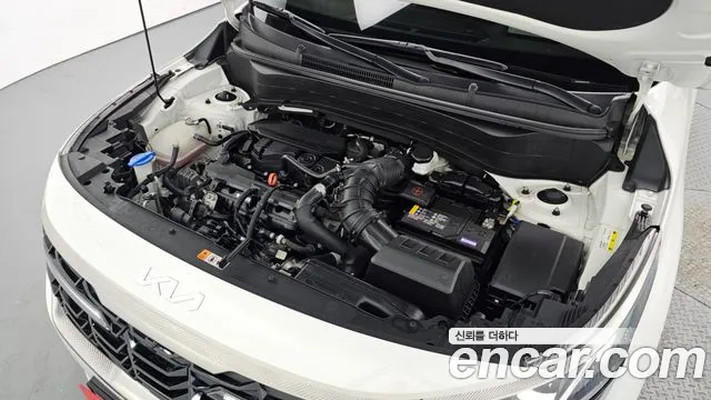2023 Kia The New Seltos Gasoline 1.6 Turbo 2WD VIN KNAET817BPK373312