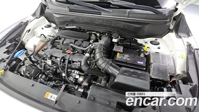 2023 Kia The New Seltos Gasoline 1.6 Turbo 2WD Sold VIN KNAET817BPK381544 – rear exterior
