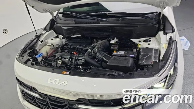 2023 Kia The New Seltos Gasoline 1.6 Turbo 2WD Sold VIN KNAET817BPK386509 – photo 15