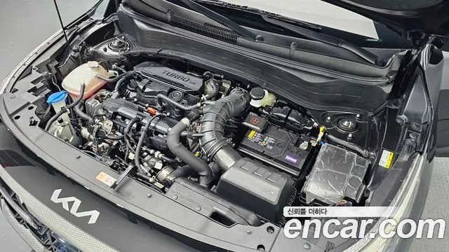 2023 Kia The New Seltos Gasoline 1.6 Turbo 2WD Sold VIN KNAET817BPK418165 – trunk area