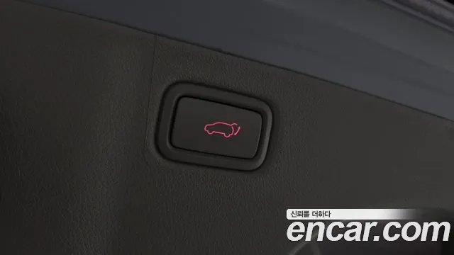2019 Kia The New Carnival Gasoline 9-Seater Noblesse Special Sold VIN KNAME811BKS460074 – exterior detail
