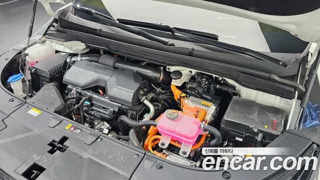 2025 Kia The New Carnival 4th Gen HEV 9-Seater Hi-Limousine Sold VIN KNANE81ABSS053349 – photo 21