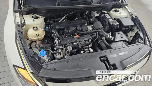 2022 Kia Sportage 5th Gen Gasoline 1.6 Turbo 2WD Sold VIN KNAPT81BGNK066444 – photo 15