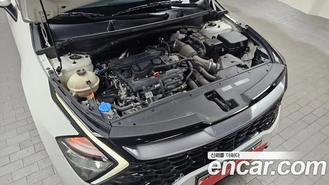 2022 Kia Sportage 5th Gen Gasoline 1.6 Turbo 2WD Sold VIN KNAPT81BGNK066607 – trunk area