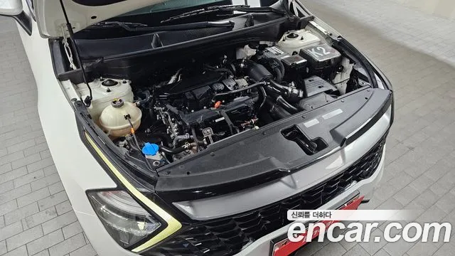 2022 Kia Sportage 5th Gen Gasoline 1.6 Turbo 2WD Sold VIN KNAPT81BGNK066608 – undercarriage