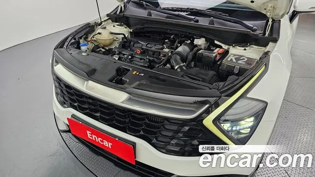 2022 Kia Sportage 5th Gen Gasoline 1.6 Turbo 2WD Sold VIN KNAPU81BGNK004076 – photo 20