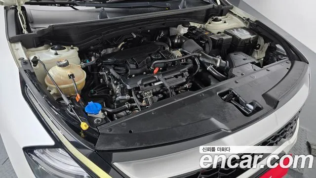 2022 Kia Sportage 5th Gen Gasoline 1.6 Turbo 2WD VIN KNAPU81BGNK043107