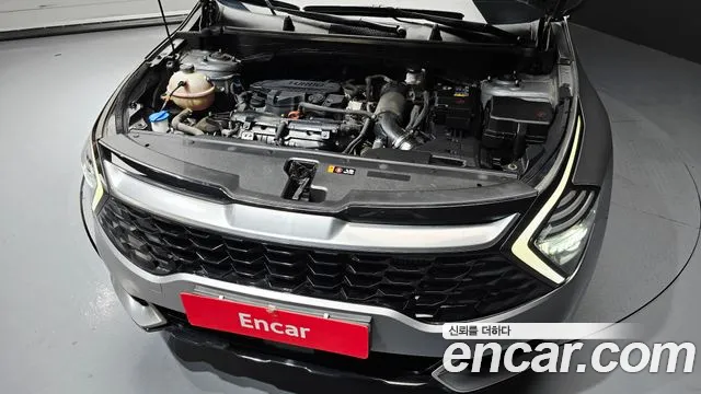 2022 Kia Sportage 5th Gen Gasoline 1.6 Turbo 2WD Sold VIN KNAPU81BGNK085044 – photo 13