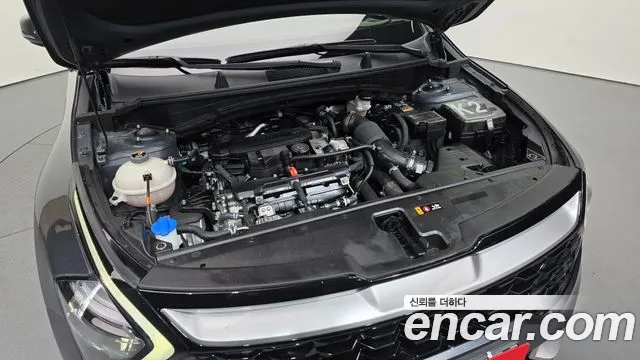 2022 Kia Sportage 5th Gen Gasoline 1.6 Turbo 2WD Sold VIN KNAPU81BGNK094524 – trunk area