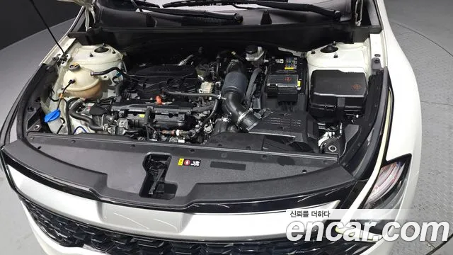 2023 Kia Sportage 5th Gen Gasoline 1.6 Turbo 2WD VIN KNAPU81BGPK145525