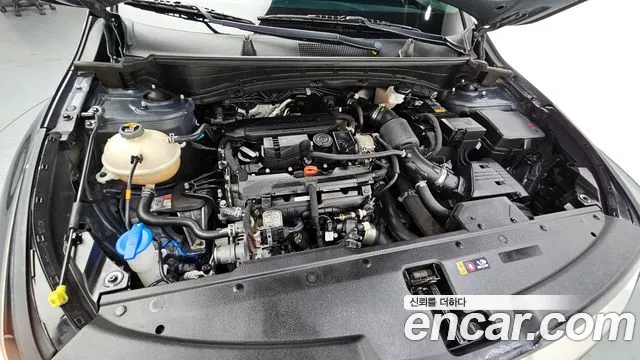 2022 Kia Sportage 5th Gen Gasoline 1.6 Turbo 2WD Sold VIN KNAPV81BGNK016395 – rear exterior
