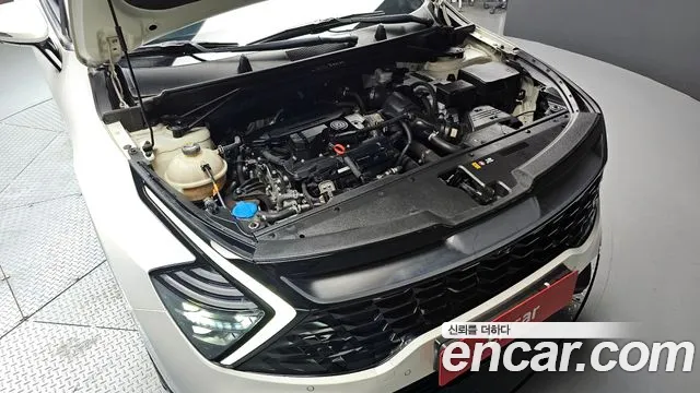 2022 Kia Sportage 5th Gen Gasoline 1.6 Turbo 2WD Sold VIN KNAPV81BGNK017573 – photo 11