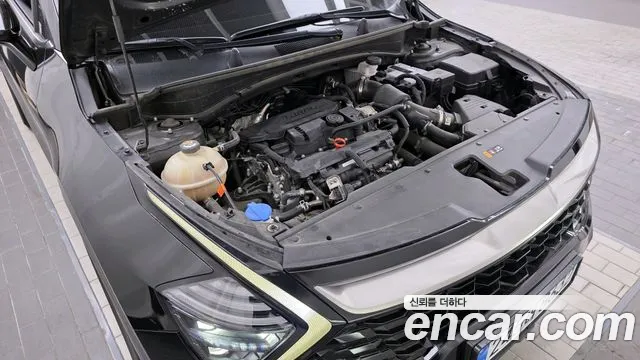 2022 Kia Sportage 5th Gen Gasoline 1.6 Turbo 2WD Sold VIN KNAPV81BGNK041074 – photo 15