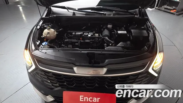 2022 Kia Sportage 5th Gen Gasoline 1.6 Turbo 2WD Sold VIN KNAPV81BGNK059422 – photo 31