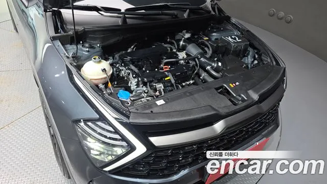 2023 Kia Sportage 5th Gen Gasoline 1.6 Turbo 2WD Sold VIN KNAPV81BGPK163632 – odometer reading
