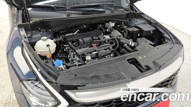 2022 Kia Sportage 5th Gen Gasoline 1.6 Turbo 4WD Sold VIN KNAPV81BHNK041520 – photo 17