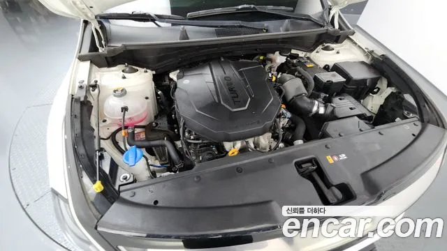 2023 Kia Sportage 5th Gen Diesel 2.0 2WD Sold VIN KNAPW81CBPK116373 – exterior detail