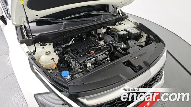 2022 Kia Sportage 5th Gen Gasoline 1.6 Turbo 2WD Sold VIN KNAPY81BGNK055418 – photo 20