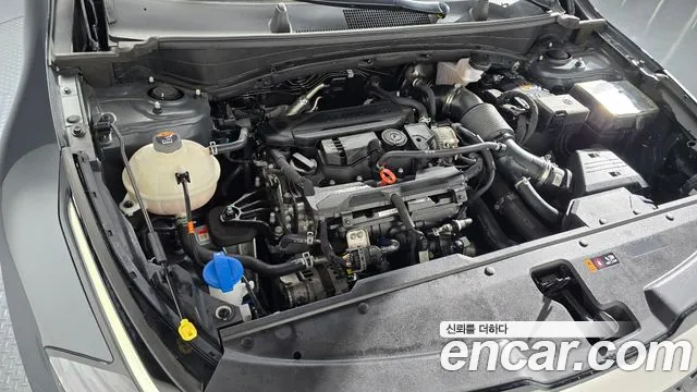 2022 Kia Sportage 5th Gen Gasoline 1.6 Turbo 2WD Sold VIN KNAPY81BGNK081275 – photo 13