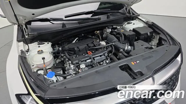 2023 Kia Sportage 5th Gen Gasoline 1.6 Turbo 2WD Sold VIN KNAPY81BGPK181750 – exterior detail
