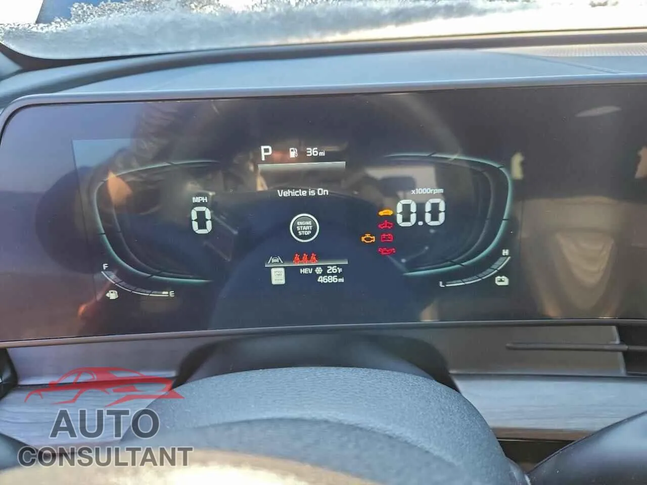 2024 KIA SPORTAGE X Damaged VIN KNDPYDDHXR7166898 – trunk area