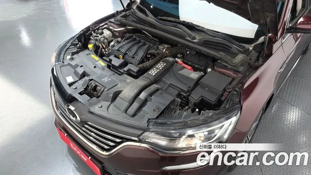 2019 Renault SM6 2.0 LPe LE (Disabled) Sold VIN KNMA4C2CMKP023002 – photo 14