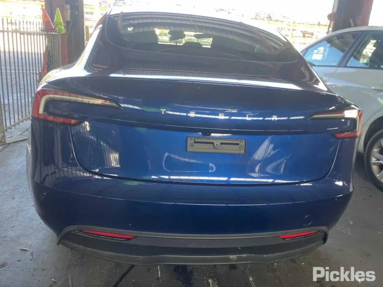 2025 TESLA Model 3 Damaged VIN LRW3F7FS0SC509128 – photo 12