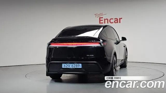 2025 Tesla Model Y Long Range AWD VIN LRWYGCEK1SC199987