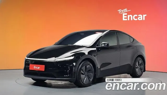 2025 Tesla Model Y Long Range AWD Sold VIN LRWYGCEK7SC216601 – interior seats