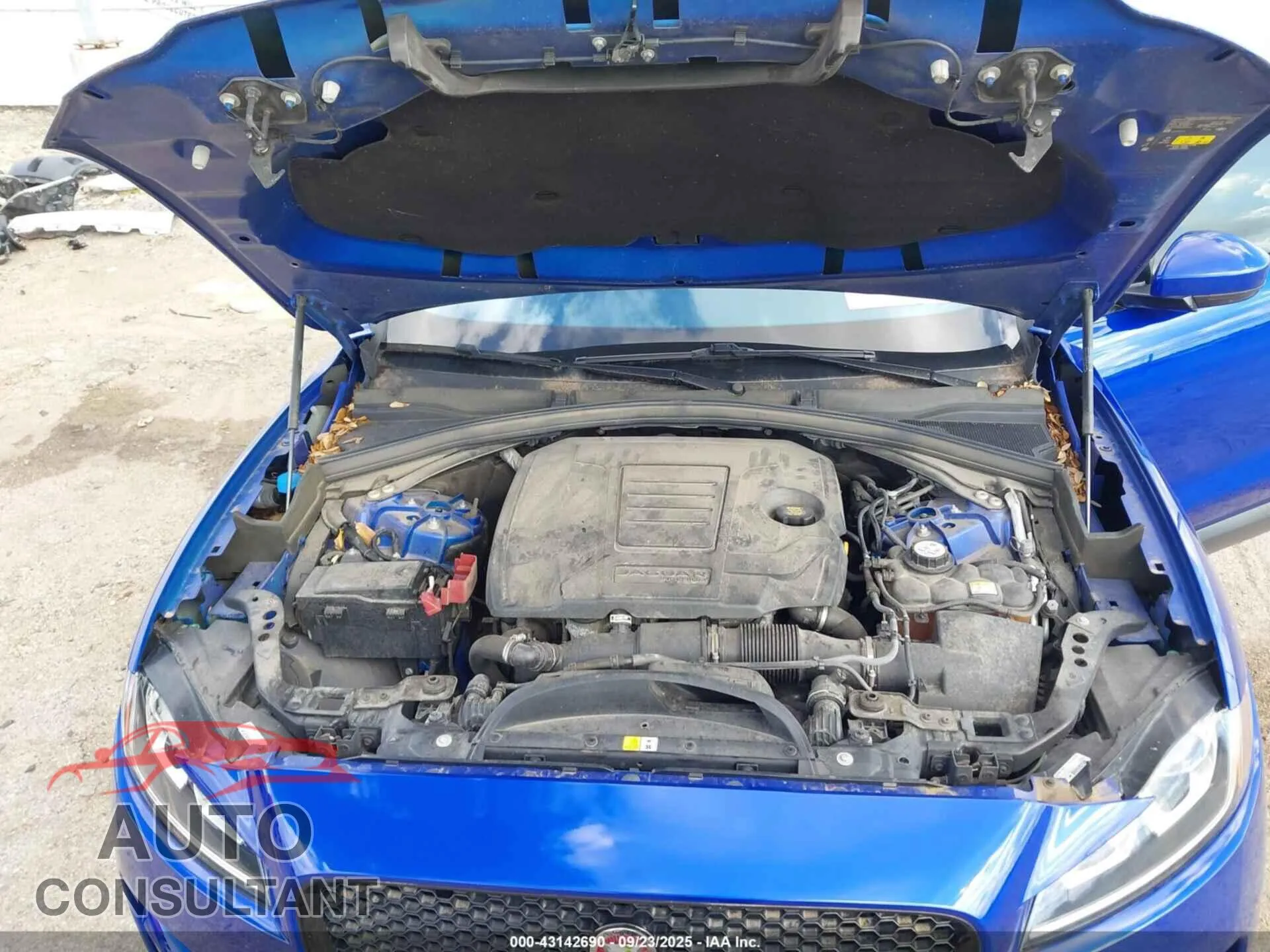 2020 JAGUAR F-PACE Damaged VIN SADCJ2FX0LA623504 – odometer reading