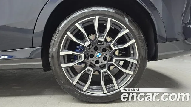 2025 BMW X6 (G06) xDrive30d M Sport Sold VIN WBA11EY04S9069921 – photo 22
